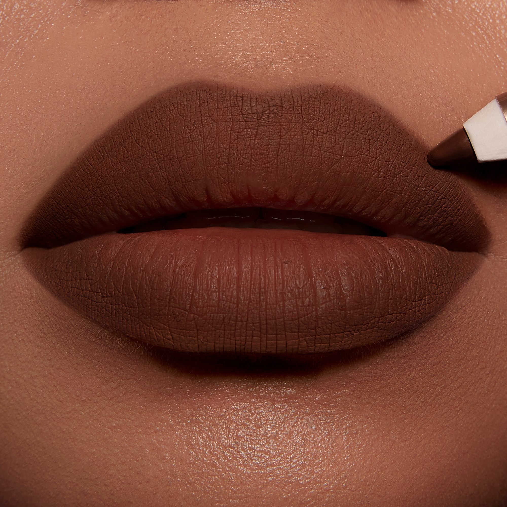 LIP CHEAT (LÁPIZ PARA LABIOS)